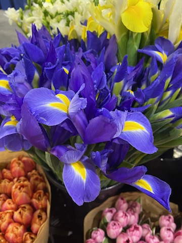 Premium flowers